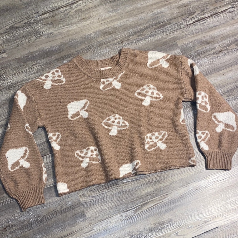 EUC HIPPIE ROSE Cozy Oversized Crop Mushroom Sweater M